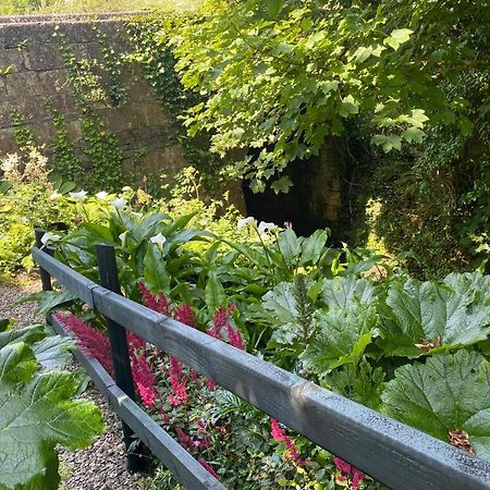 Atlantic Garden Lodge 利敦瓦纳 外观 照片